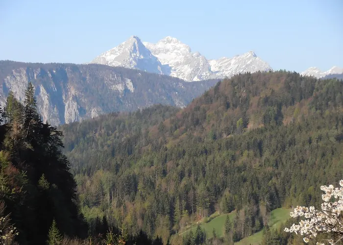 Pr' Betel בית הארחה 2*