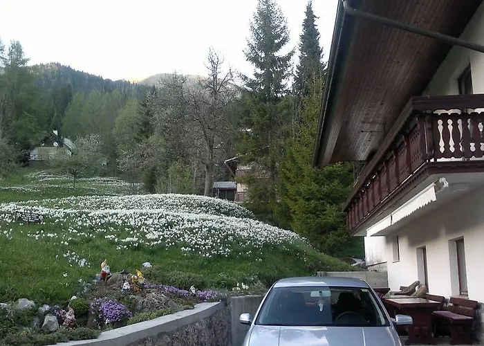 בית הארחה Pr' Betel 2*