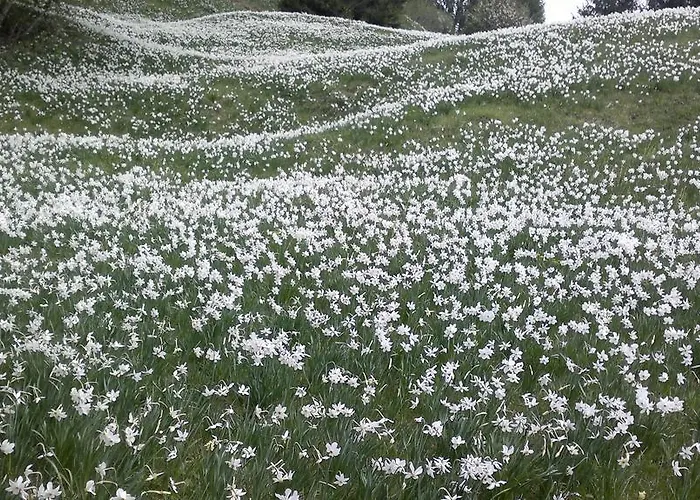 Pr' Betel בית הארחה 2*